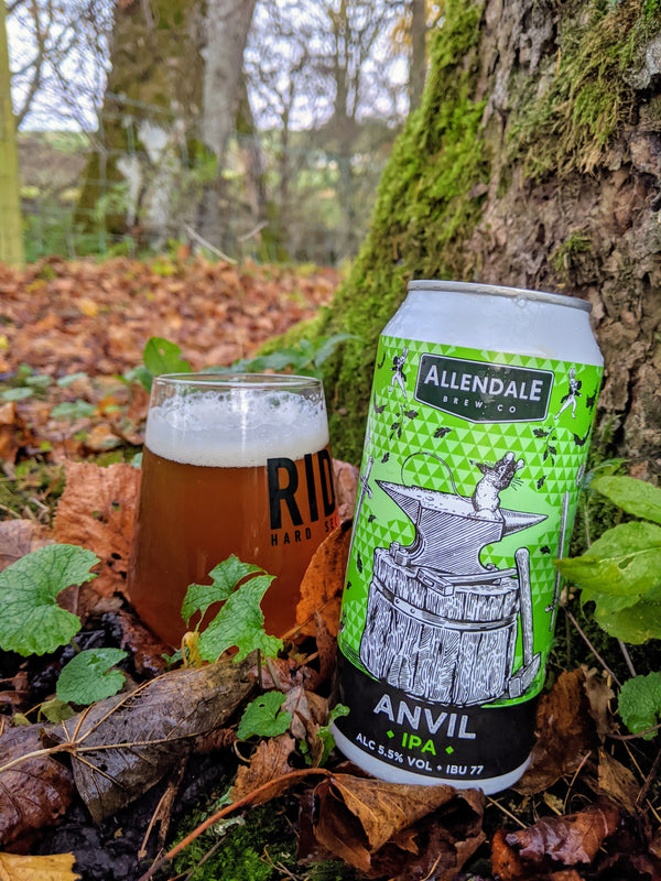 Anvil 5.5% - 440ml Can